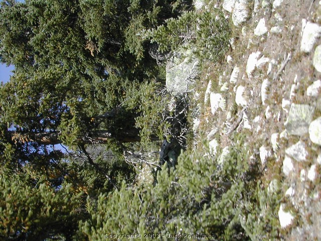 DSCN1827.JPG