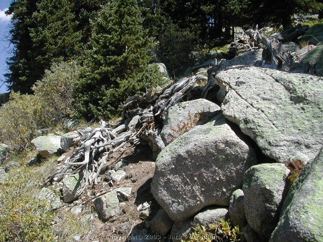 DSCN1834.JPG