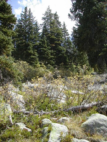 DSCN1835.JPG
