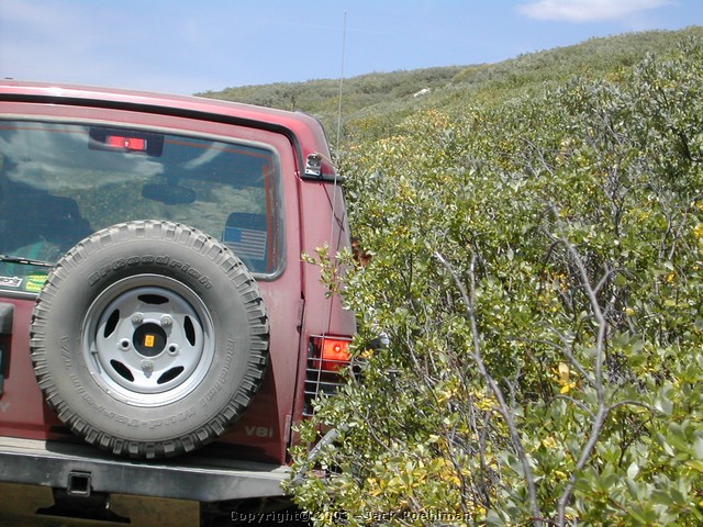 DSCN1839.JPG
