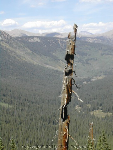 DSCN1858.JPG