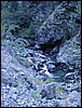DSCN1579.JPG