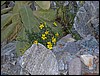 DSCN1581.JPG