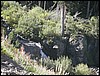 DSCN1588.JPG