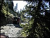 DSCN1591.JPG