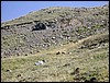 DSCN1598.JPG