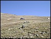 DSCN1600.JPG
