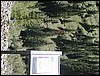 DSCN1656.JPG