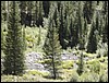 DSCN1657.JPG