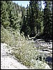 DSCN1661.JPG