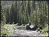 DSCN1662.JPG