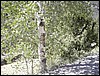 DSCN1671.JPG
