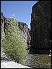 DSCN1677.JPG