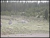 DSCN1705.JPG