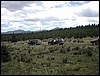 DSCN1708.JPG