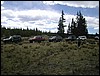 DSCN1709.JPG