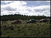DSCN1711.JPG