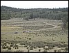 DSCN1712.JPG
