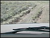 DSCN1716.JPG