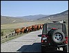DSCN1720.JPG