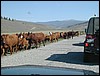 DSCN1722.JPG