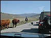 DSCN1723.JPG