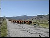 DSCN1724.JPG