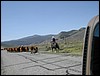 DSCN1725.JPG