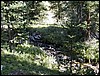 DSCN1730.JPG