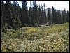 DSCN1731.JPG