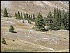 DSCN1755.JPG