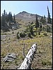 DSCN1770.JPG