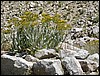 DSCN1782.JPG