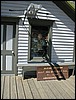 DSCN1790.JPG