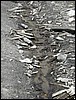 DSCN1797.JPG