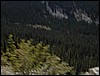 DSCN1807.JPG