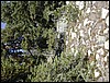 DSCN1827.JPG