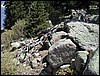 DSCN1834.JPG