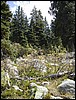 DSCN1835.JPG
