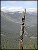 DSCN1858.JPG
