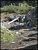 DSCN1862.JPG