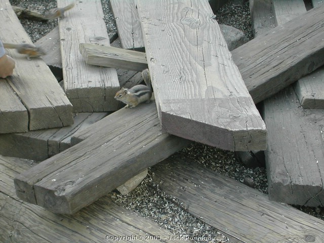 DSCN1885.JPG