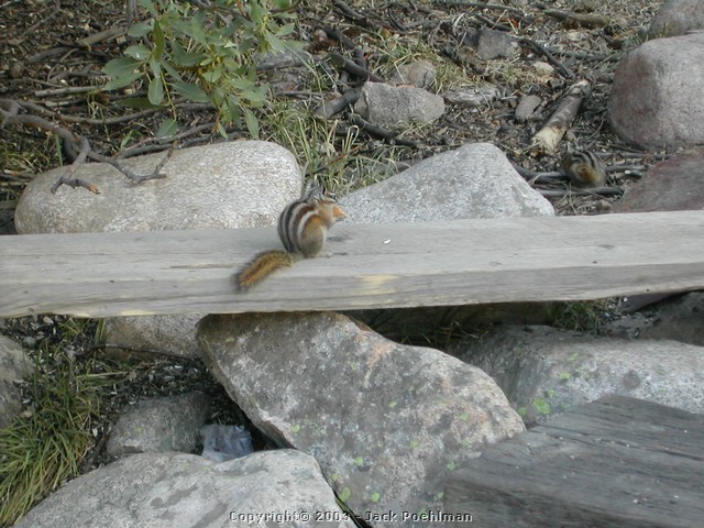 DSCN1891.JPG