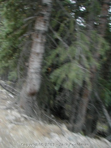 DSCN1908.JPG