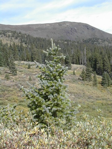 DSCN1929.JPG
