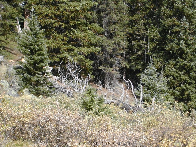 DSCN1987.JPG