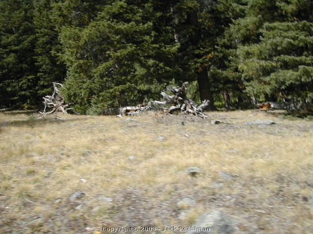 DSCN1991.JPG