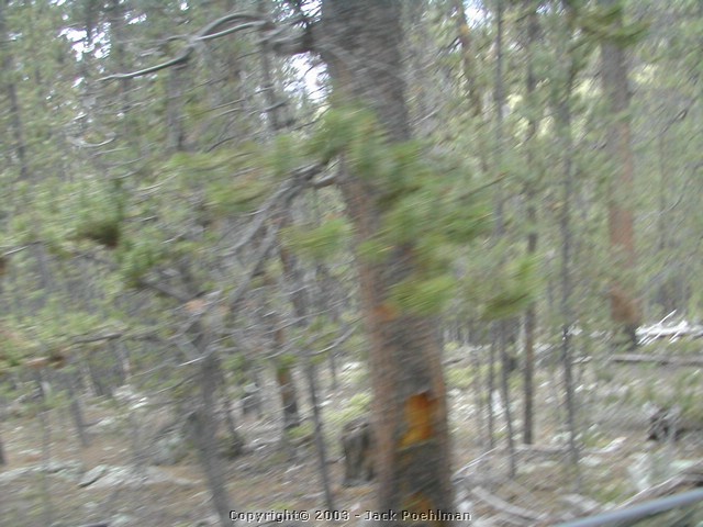 DSCN2007.JPG