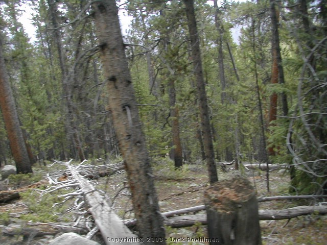 DSCN2008.JPG