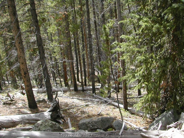 DSCN2009.JPG